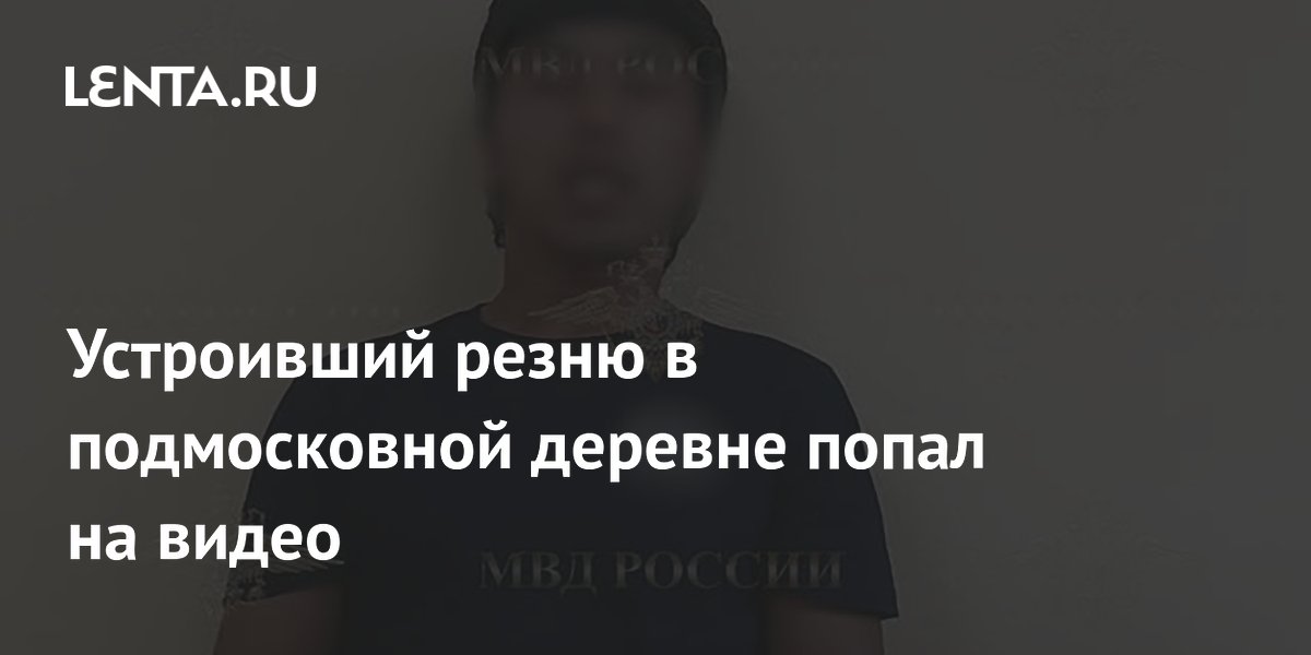 Иностранец зарезал жителя Подмосковья и ранил его сына: видео МВД