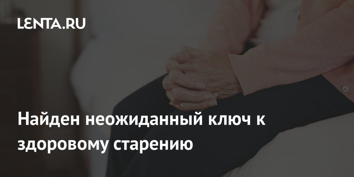 ����� NOX4 ������ ������ � ��������� ��������: �������� ������ �� ���������