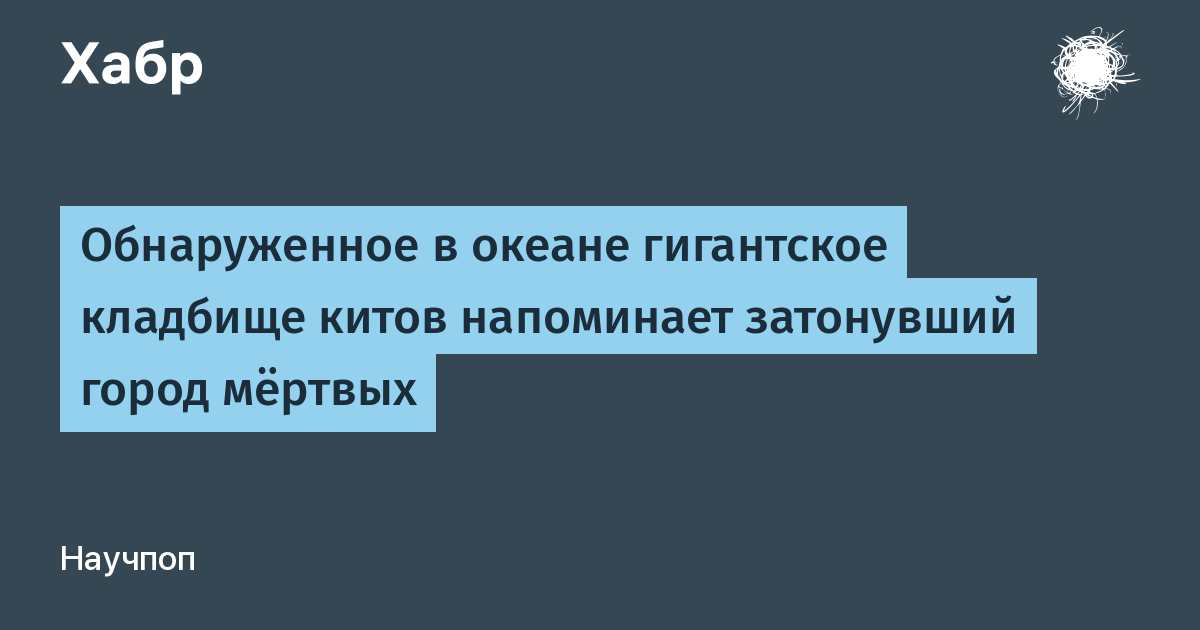 Ученые нашли подводное кладбище китов длиной 1200 км у берегов Антарктиды