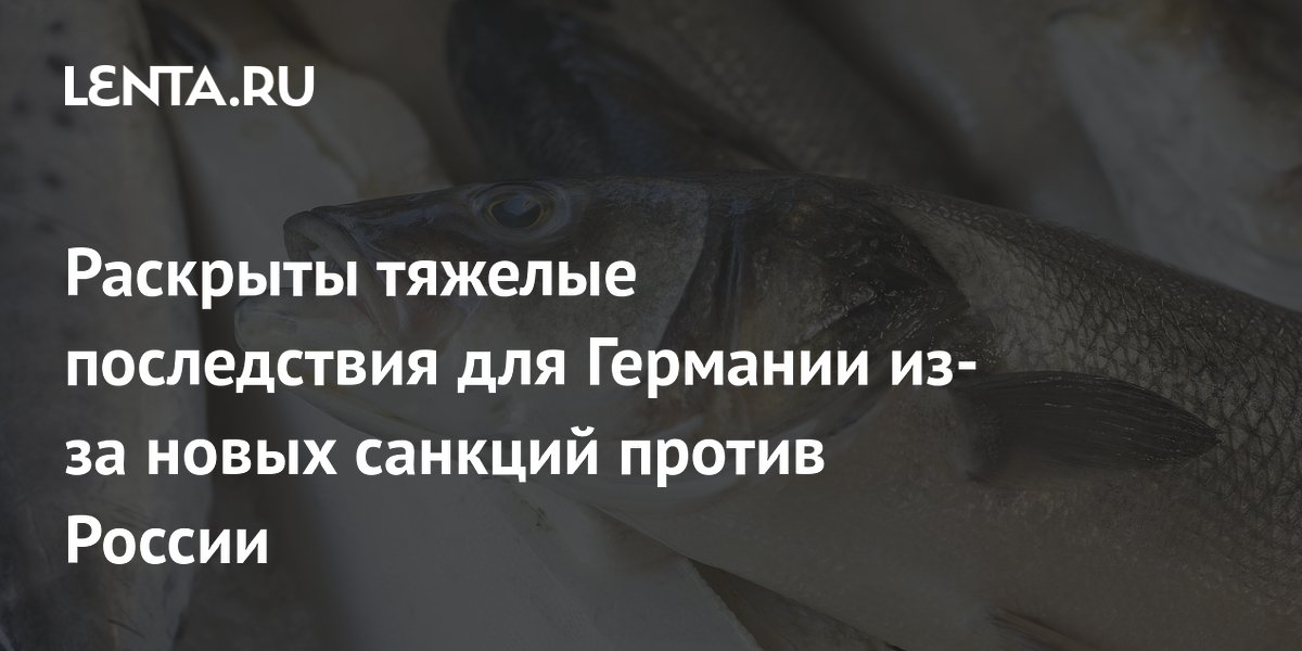 Новые санкции ЕС на российскую рыбу: Германия понесет убытки Новые санкции ЕС на российскую рыбу: Германия понесет убытки