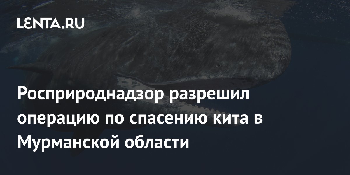 ��������������� ��� ����� �� �������� ��������� ���� � ���������� �������