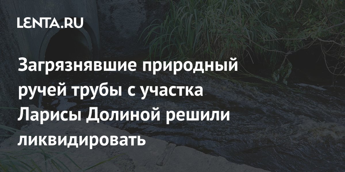 Сточные трубы с участка Ларисы Долиной ликвидируют в течение месяца