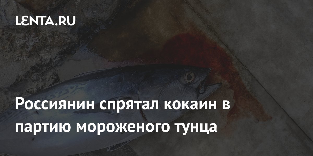 Спрятал кокаин в мороженом тунце: житель Петербурга арестован