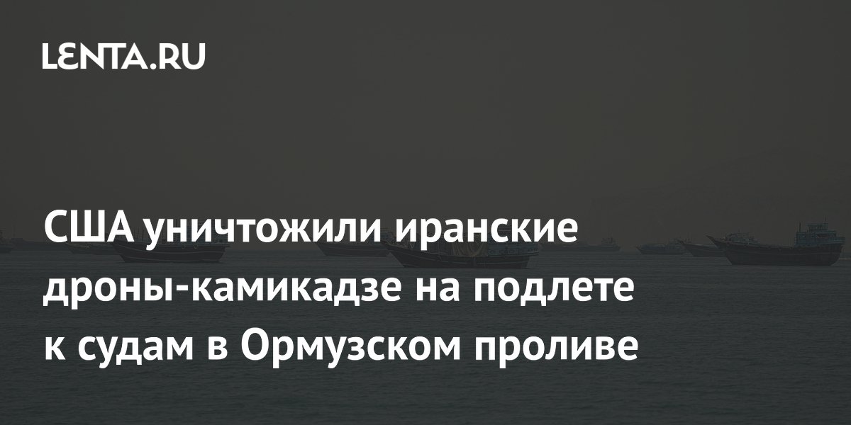 США уничтожили иранские дроны-камикадзе у торговых судов в Ормузском проливе