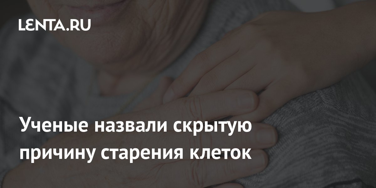Ученые выявили скрытую причину старения клеток и способ ее обратить