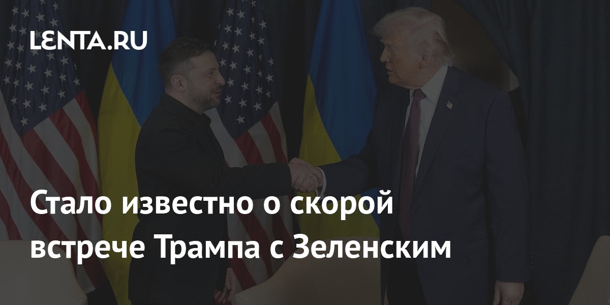 Трамп встретится с Зеленским на саммите G7 во Франции Трамп встретится с Зеленским на саммите G7 во Франции