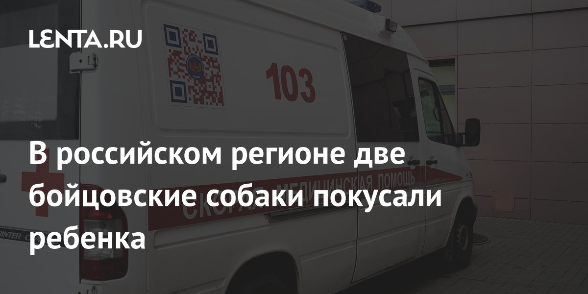 В Севастополе бойцовские собаки без намордников покусали 6-летнюю девочку