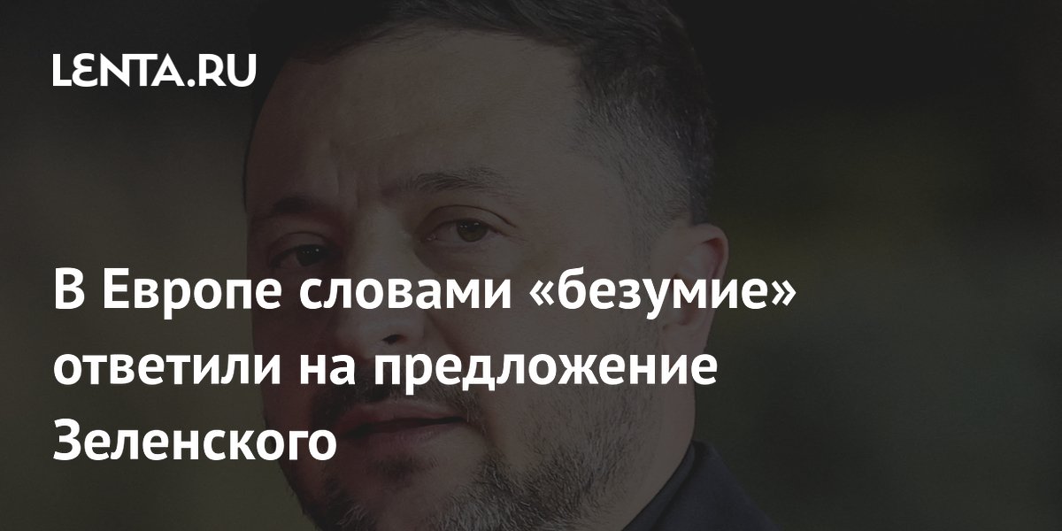 Финский политик: предложение Зеленского о дронах — безумие