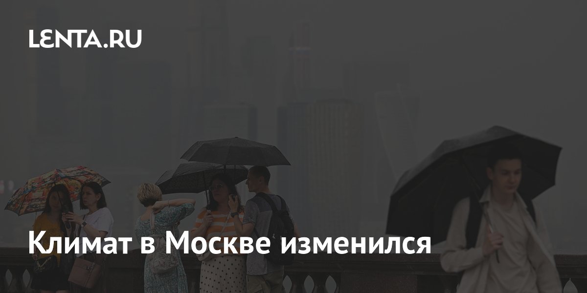 Климат в Москве стал тропическим: глава Мосприроды о новых вызовах