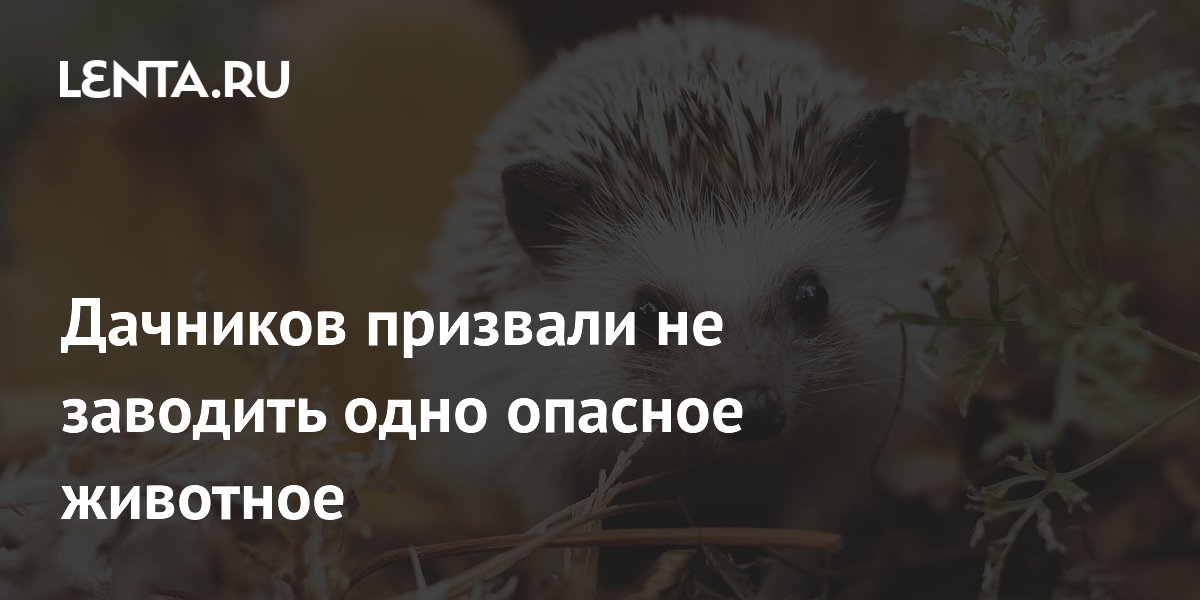 ��� �� ����: �������� ������������ �� ��������� ��������� �������