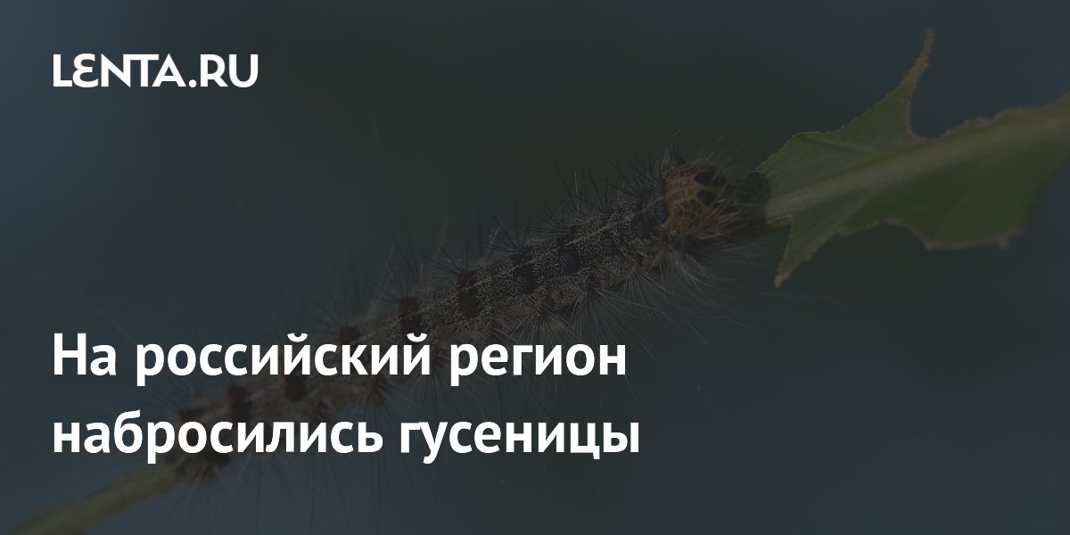 � ���������� ������� �������� ��������� ���������� ���������� ��������� ����
