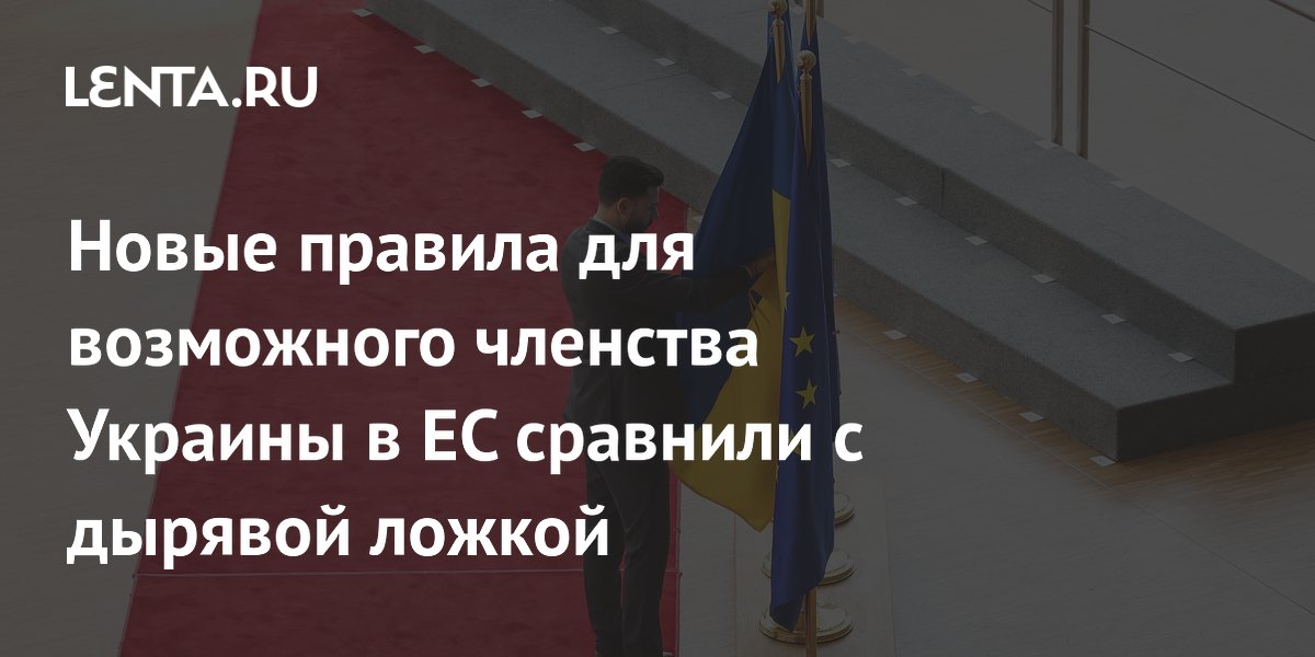 ЕС предложил Украине и Молдове членство без права вето — политолог назвал это «дырявой ложкой»