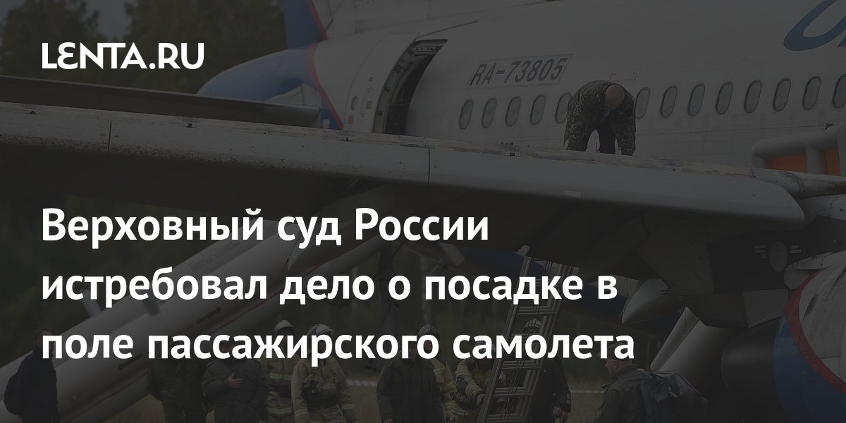 Верховный суд России истребовал дело пилота, посадившего самолет в поле
