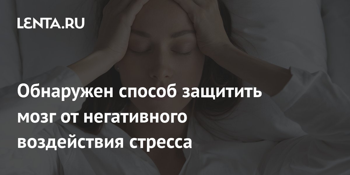 Периодическое голодание защищает мозг от стресса: открытие ученых