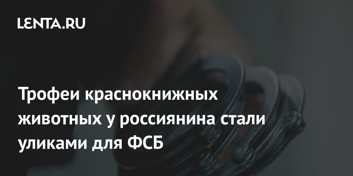 Житель Приморья пойдет под суд за коллекцию рогов краснокнижного сайгака