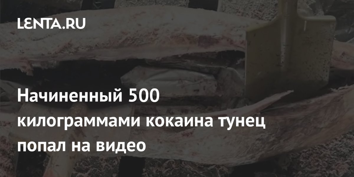 ФСБ показала на видео тунца с 500 кг кокаина, задержан россиянин