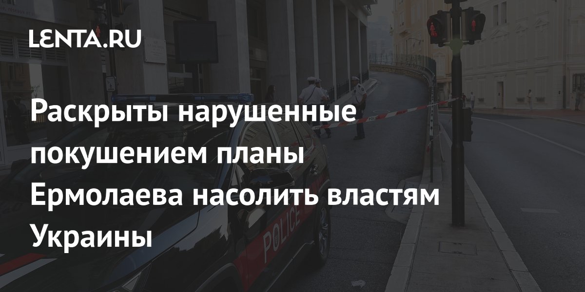 Украинский олигарх Ермолаев планировал выступить в Европарламенте с критикой коррупции до покушения
