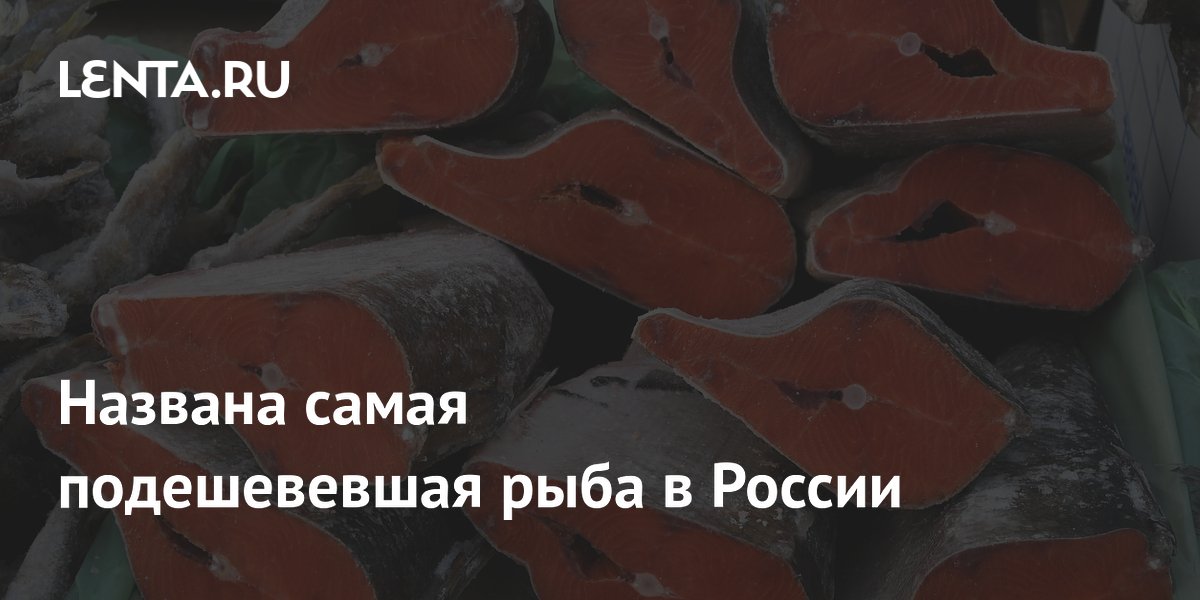 Эксперты назвали кету и нерку самыми подешевевшими видами рыбы в России