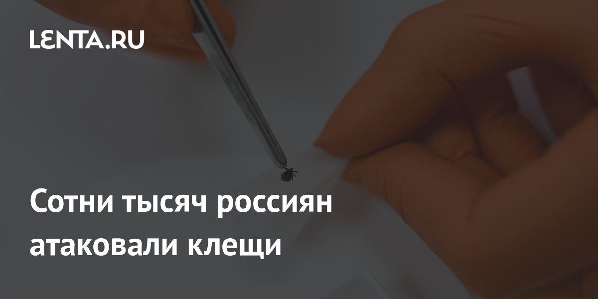 337 тысяч россиян пострадали от укусов клещей с начала сезона