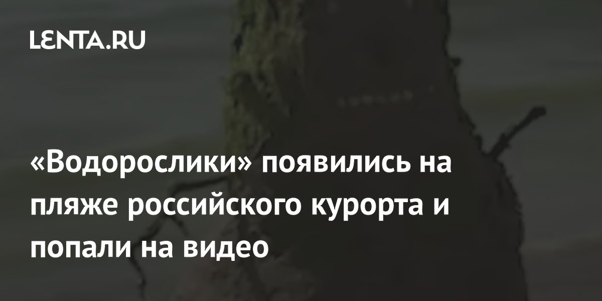 �� ����� ����� ��������� ������������ � ���������� �� ����� � ����������