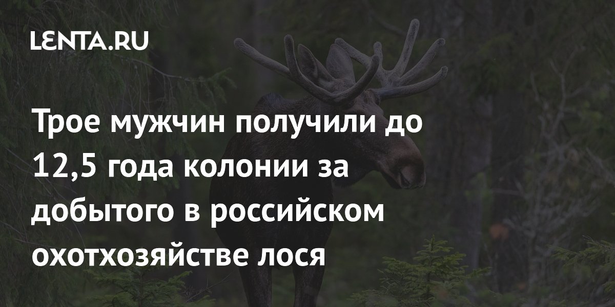 ���� ����������� �������� �� 12,5 ��� ������� �� �������� ���� � �����������
