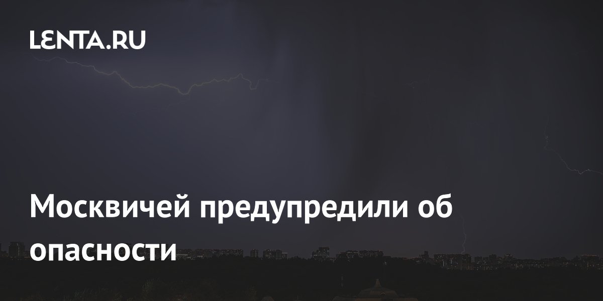 Москвичей предупредили о грозе и сильном ветре до утра субботы