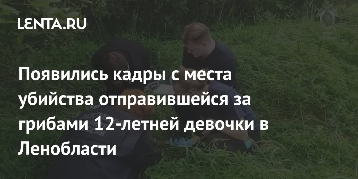 СК опубликовал кадры с места убийства 12-летней грибницы в Ленобласти