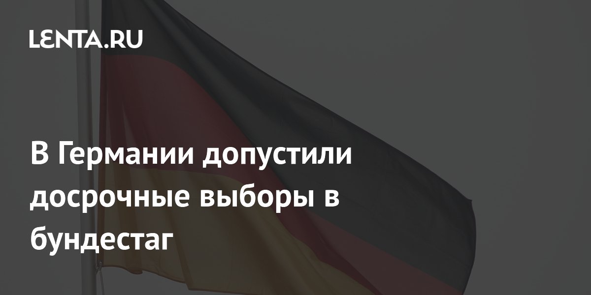 Лидер АдГ допустила досрочные выборы в бундестаг в 2027 году
