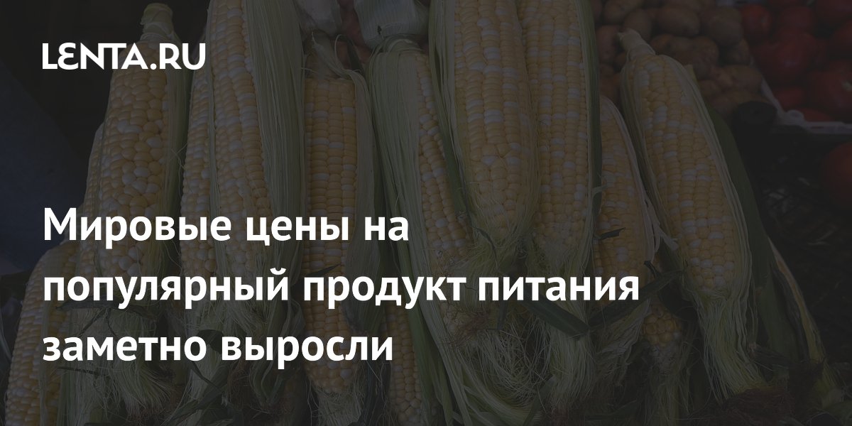 Цены на кукурузу взлетели на 3% из-за европейской жары и угрозы неурожая