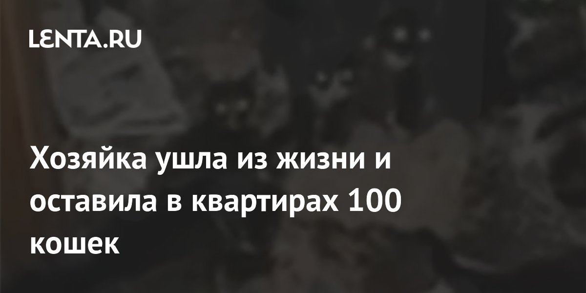 � ����������� ����� ������ ������� � ���� ��������� ����� 100 �����