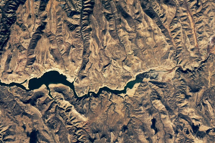 NASA связало цветение водорослей в Блю-Меса с теплой водой и низким уровнем