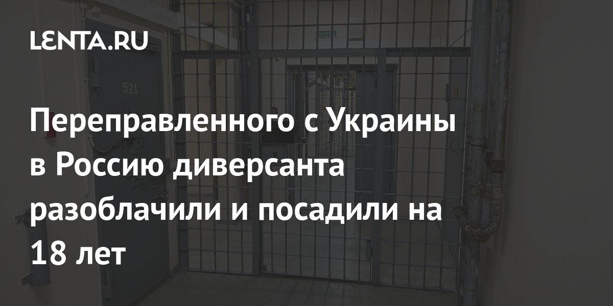 Диверсант, прибывший с Украины в РФ, осужден на 18 лет за госизмену