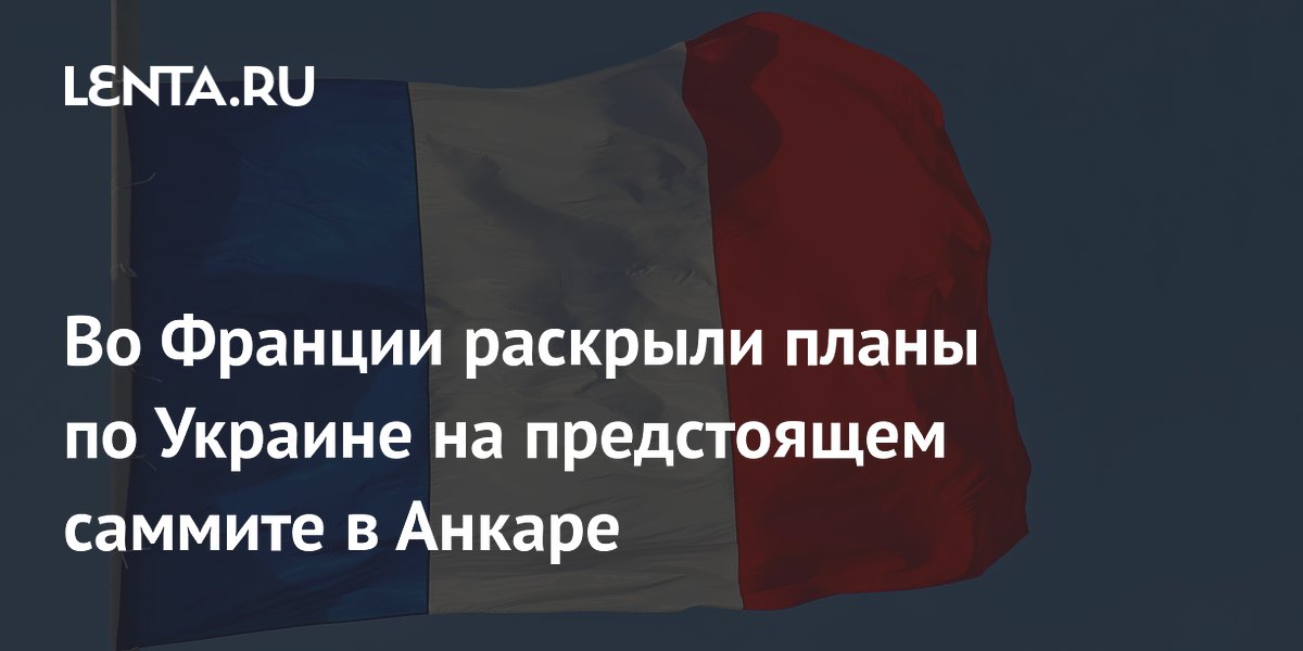 Франция раскрыла планы НАТО по Украине на предстоящем саммите в Анкаре