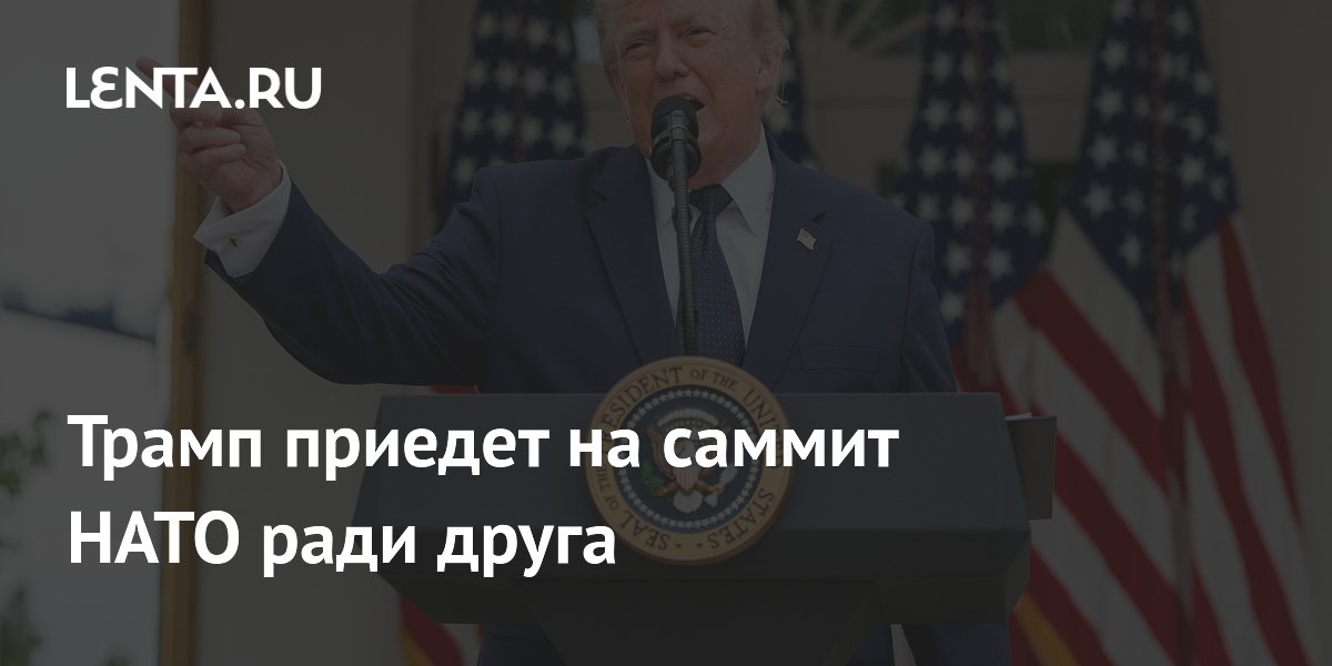 Трамп приедет на саммит НАТО ради личной дружбы с Эрдоганом