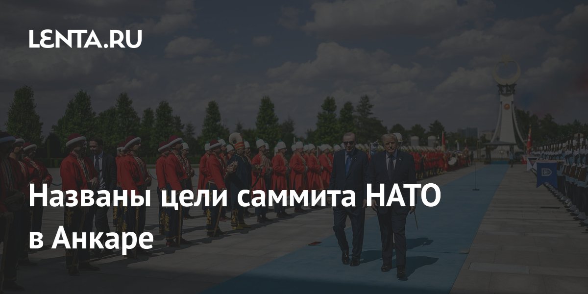 Названы цели саммита НАТО в Анкаре: главный вопрос — союзник ли Турция США