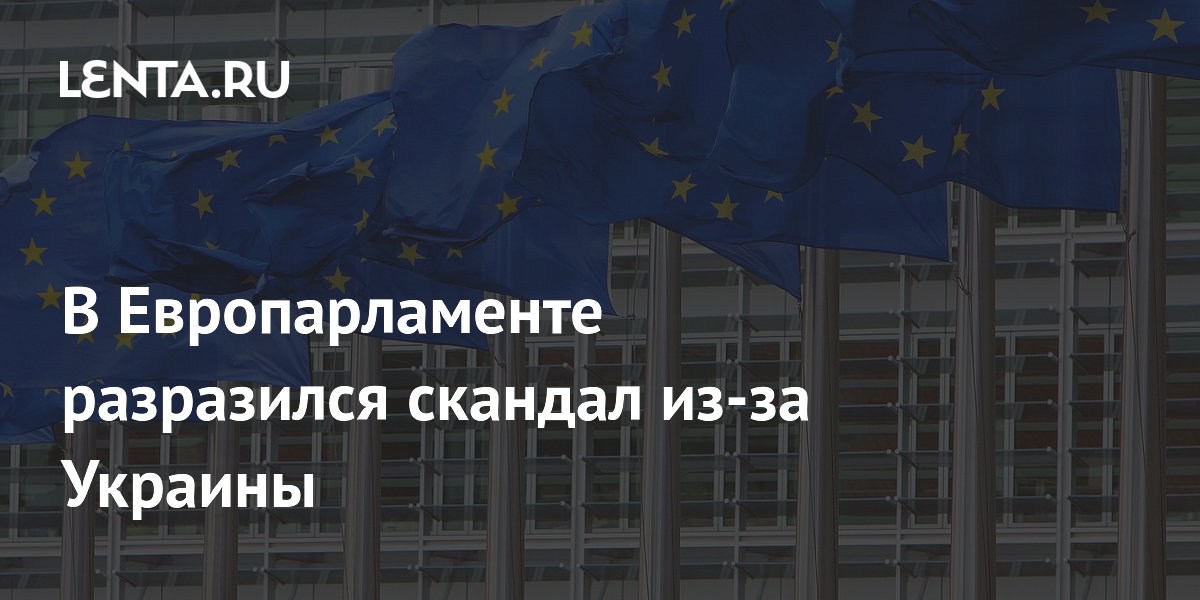 Польский депутат разорвала флаг УПА в Европарламенте, требуя отказа от нацизма