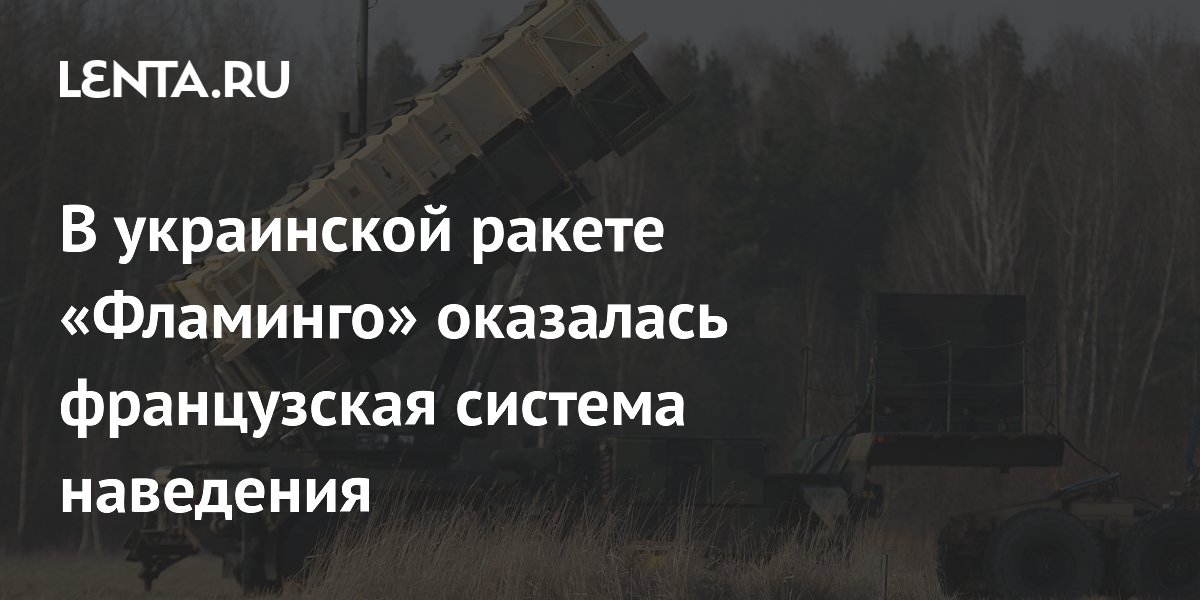 Украинская ракета «Фламинго» оснащена французской системой наведения Safran