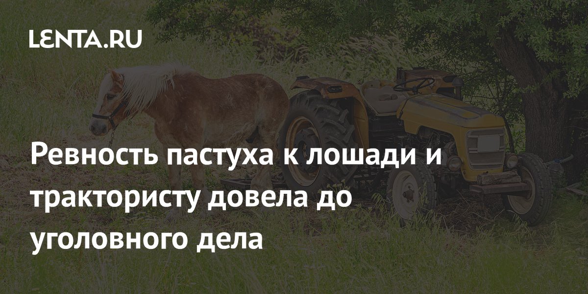 В Саратовской области пастух ревновал лошадь к трактористу и попал под уголовное дело