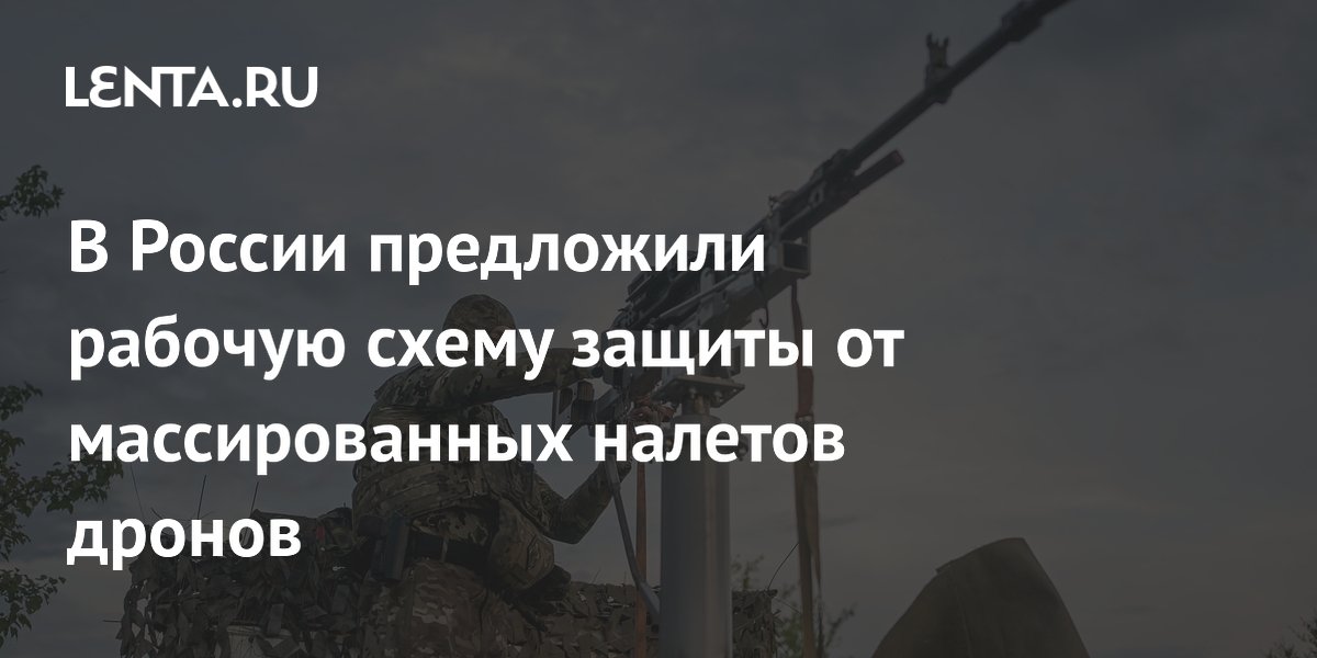 В России предложили насытить территорию мобильными огневыми группами для защиты от дронов