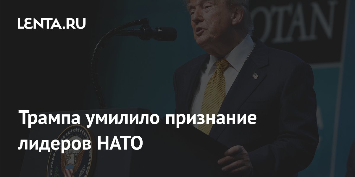 Трамп заявил, что лидеры НАТО признались в любви к нему