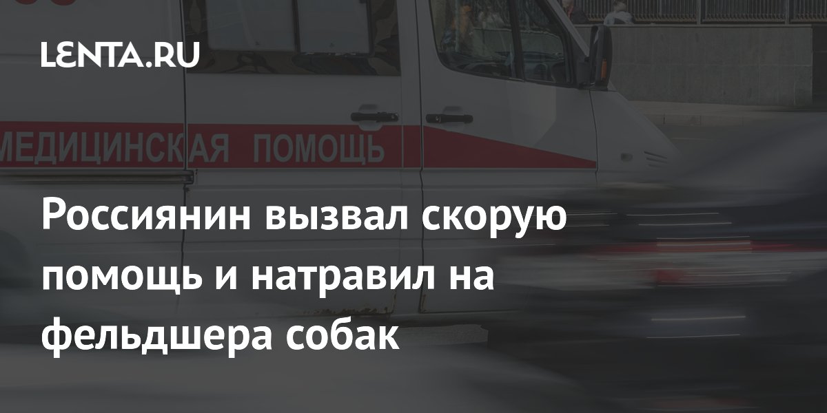 Россиянин натравил собак на фельдшера скорой: суд назначил 10 месяцев ограничения свободы