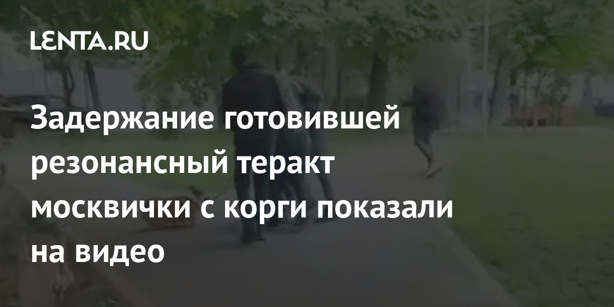 ���������� ���������� ������ ��������� � ����� ������ �� ����� ���