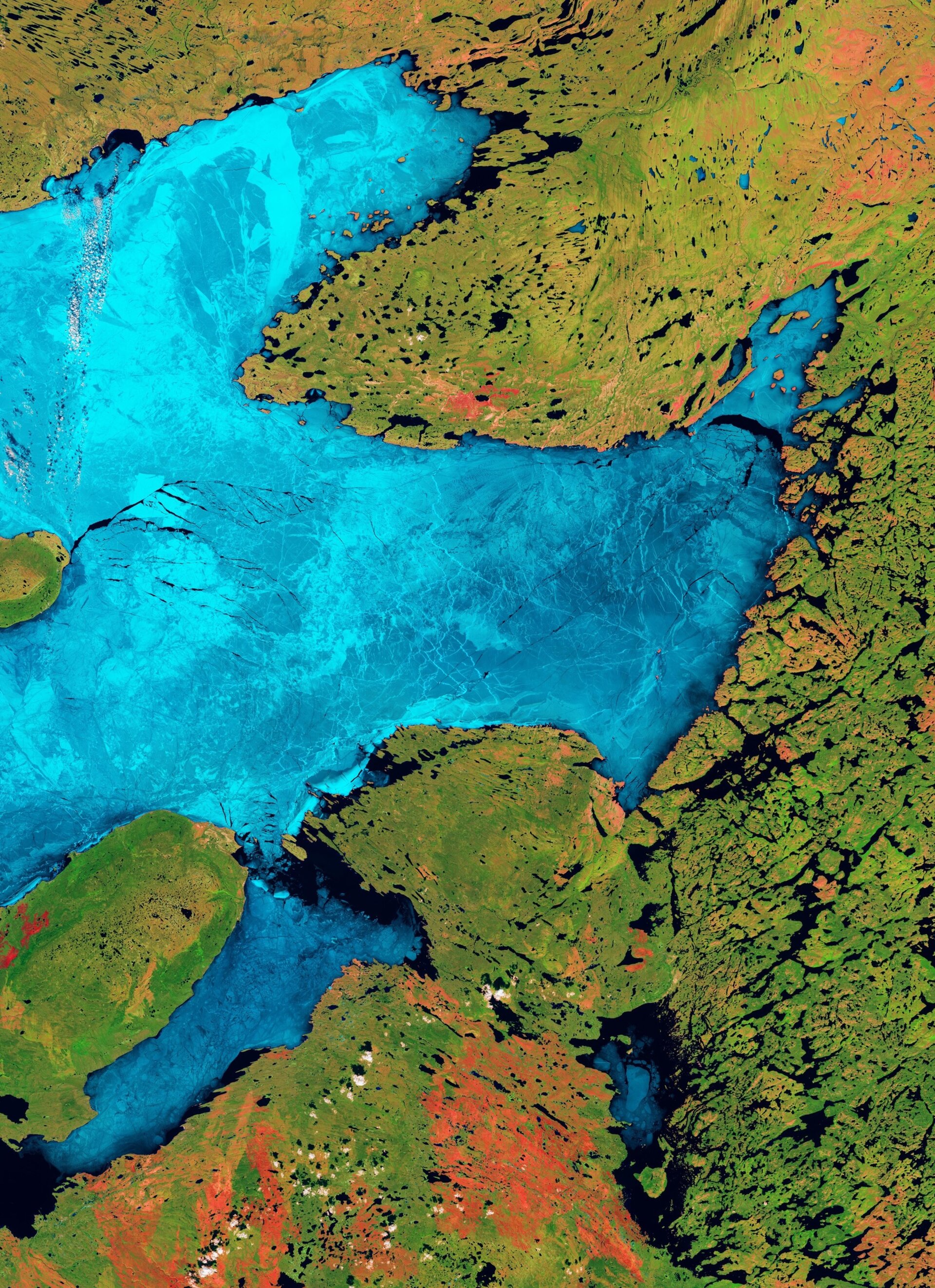 ЕКА опубликовало яркий снимок Большого Медвежьего озера со спутника Sentinel-2 ЕКА опубликовало яркий снимок Большого Медвежьего озера со спутника Sentinel-2