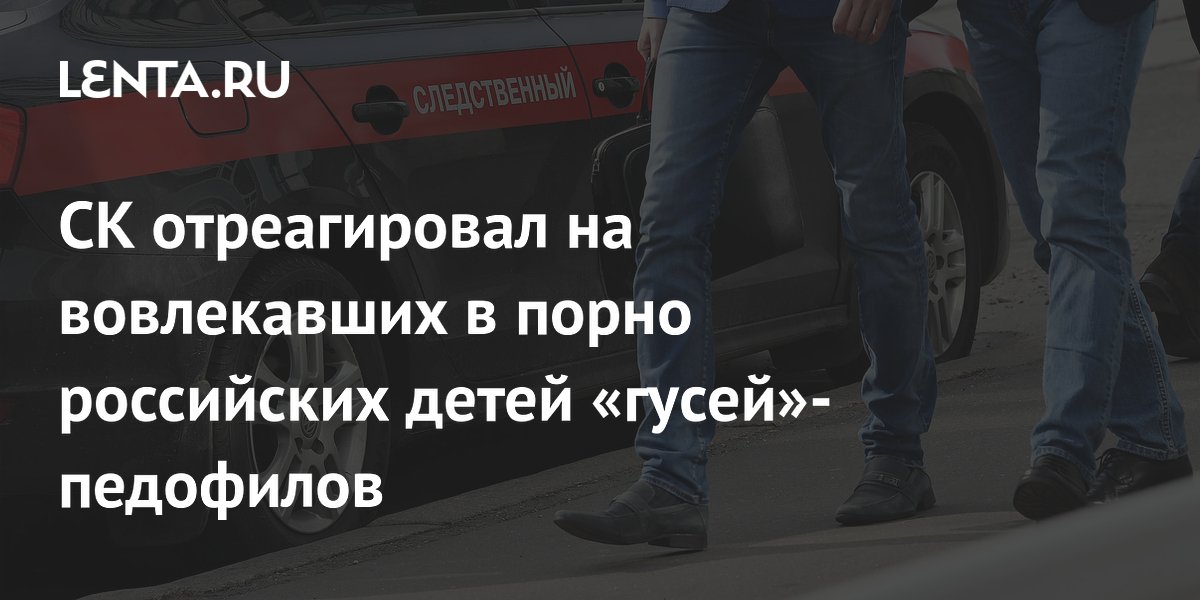 СК возбудил уголовные дела по делу «Империи гусей» о педофилии