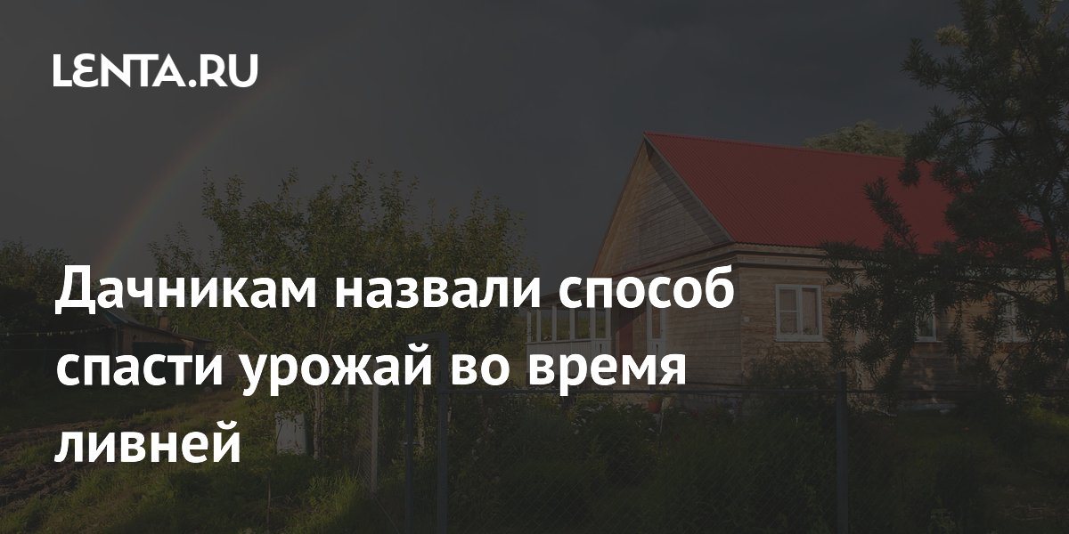 Садовод Сидельников назвал способ спасти урожай во время ливней