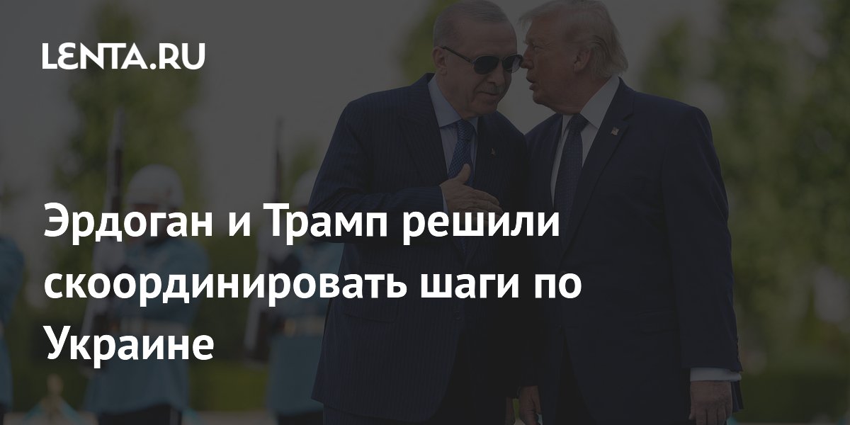 Эрдоган и Трамп договорились синхронизировать усилия по Украине