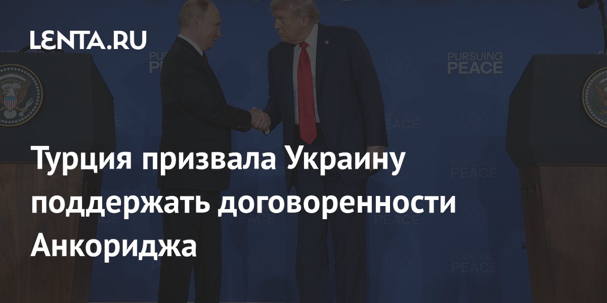 Турция призвала Украину поддержать мирные договоренности Анкориджа