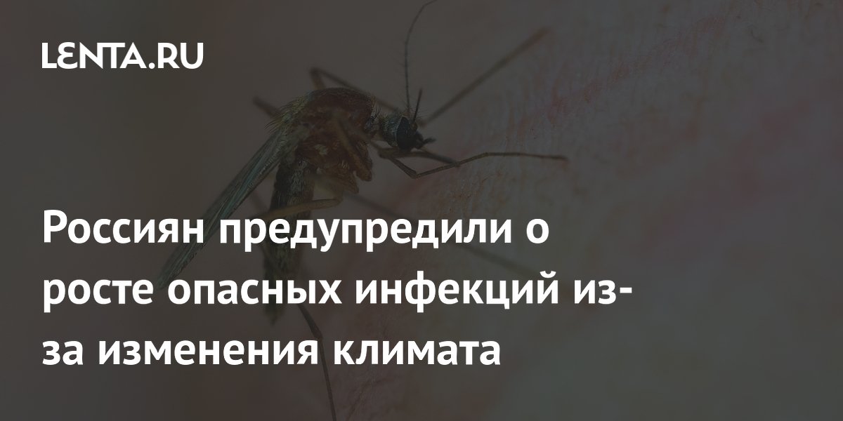 Из-за изменения климата комары начнут чаще разносить инфекции, заявил биолог