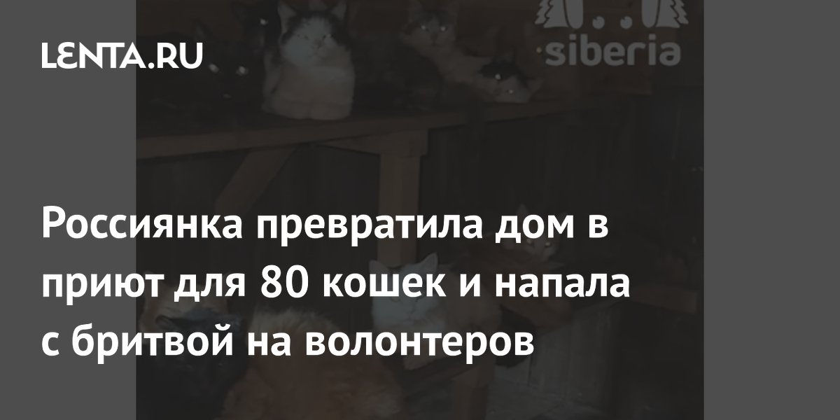 Жительница Новосибирска напала с бритвой на волонтеров, спасавших 80 кошек