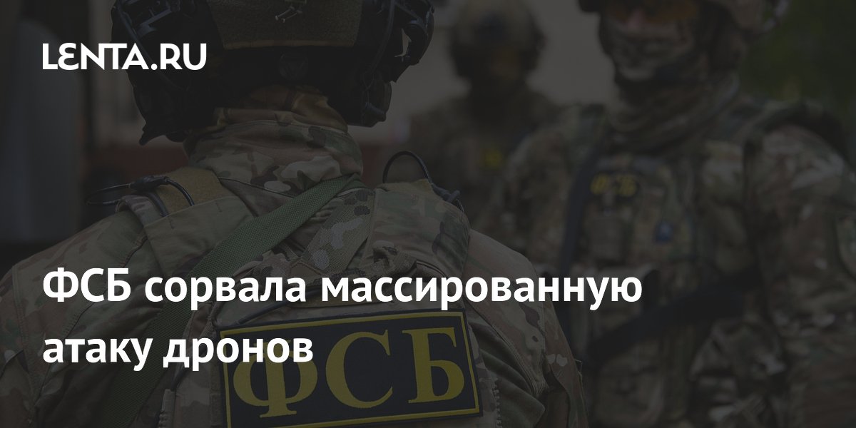 ФСБ предотвратила массированную атаку дронов на предприятие в Подмосковье